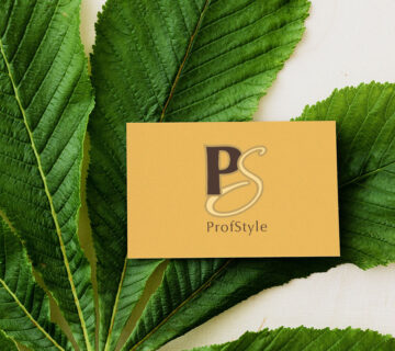 ProfStyle