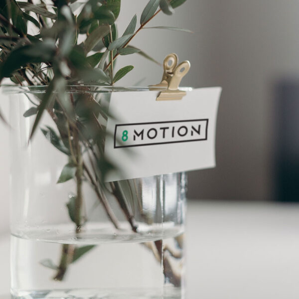 8 Motion